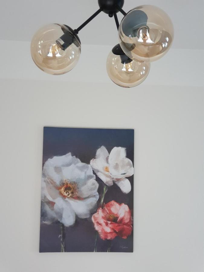 Cesu Majas Rigas Iela Apartamento Cēsis Exterior foto